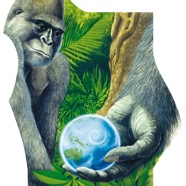 06 Gorilla Cigler.jpg